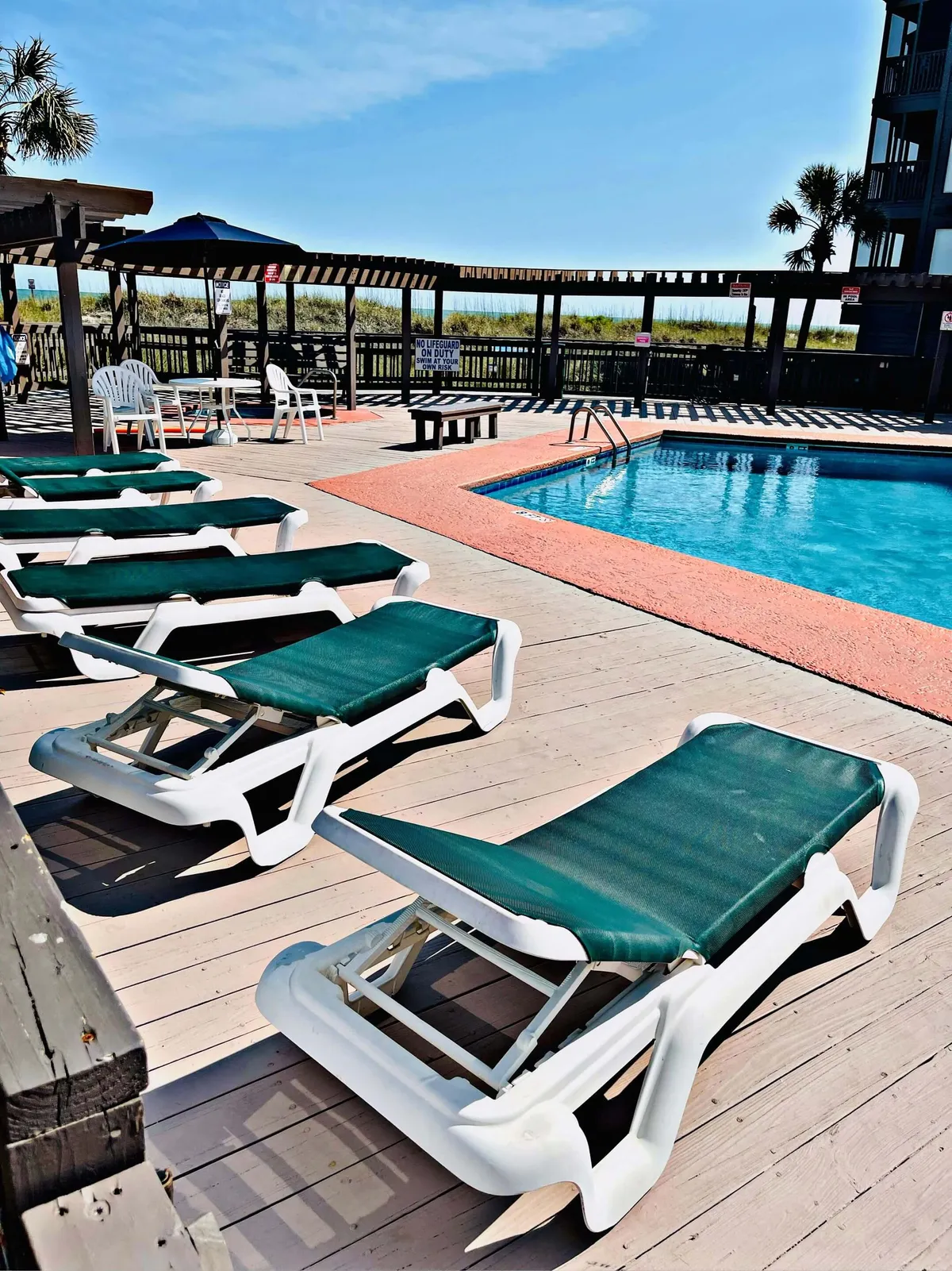 This image captures a stunning exterior pool area, complete with sparkling blue water, inviting lounge chairs, palm trees, a pergola for shade, and open sightlines to the beach and ocean beyond. The setting exudes a resort-like vibe and showcases the ease of transitioning from poolside relaxation to beachside adventures.